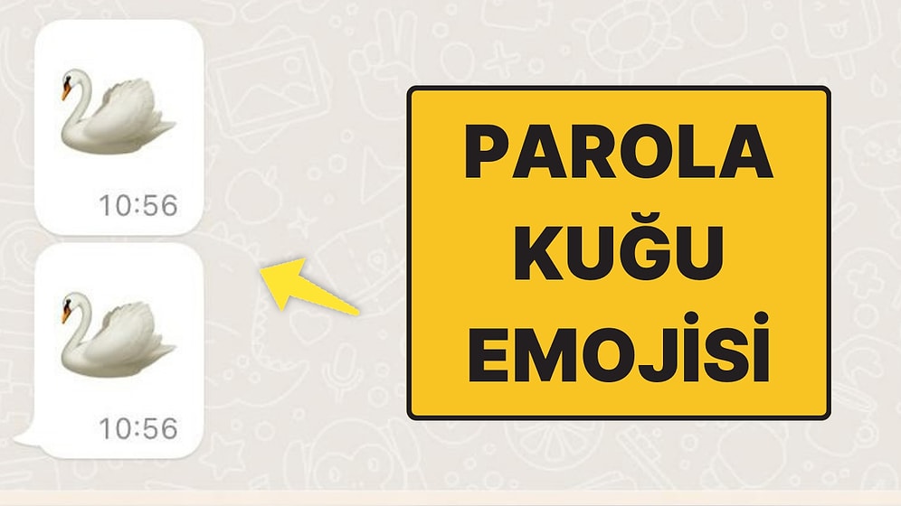 Doktorlara Reçete Operasyonu: WhatsApp’tan Kuğu Emojisi Atarak Haber Vermişler