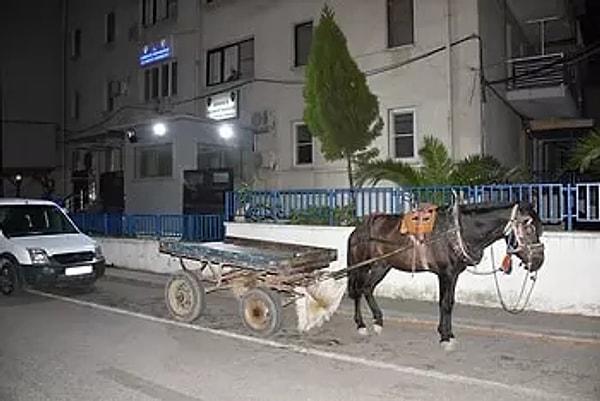 Aydın-İzmir kara yolundan Germencik istikameti yönünde seyreden 45 yaşındaki H.S'nin kullandığı at arabasının trafiği tehlikeye düşürmesi nedeniyle çevredeki sürücüler tarafından 112 Acil Çağrı Merkezi'ne ihbarda bulunuldu.
