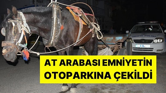 Alkollü At Arabası Kullanan Kişiye Para Cezası