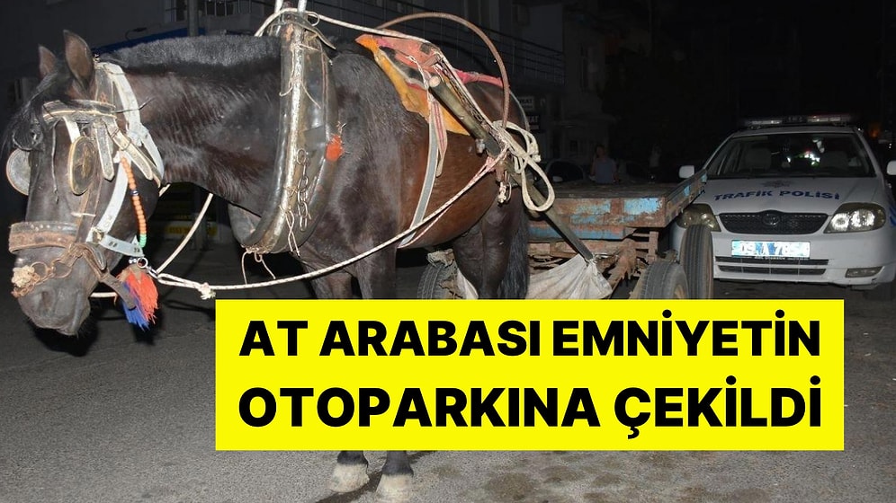 Alkollü At Arabası Kullanan Kişiye Para Cezası