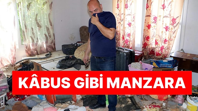 Kâbus Gibi Manzara: Kiracı, Tahliye Ettiği Eve Onlarca Ölü Kedi Bıraktı