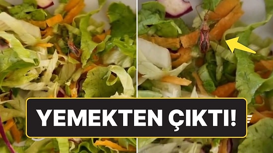 Hastane Yemeğinden Böcek Çıktı: “Ölüsüne Alışmıştık Bu Sefer Dirisi Geldi”