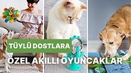 BİM'e Gelse de Alsak Diye Beklediğiniz Tüylü Dostlara Özel Oyuncaklar