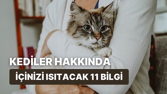 Patili Dostlarımız Kediler Hakkında Öğrendiğinizde İçinizi Isıtacak 11 Bilgi