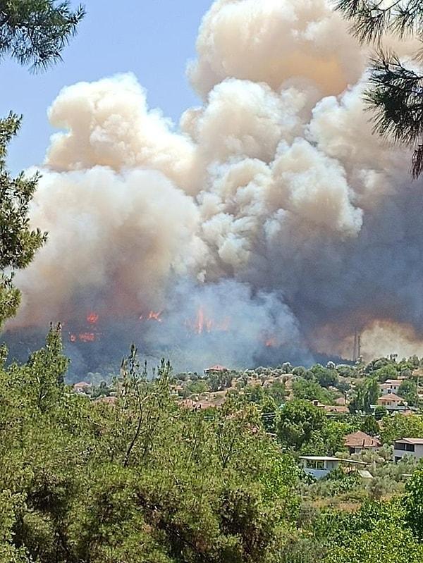 İzmir'in Menderes ilçesinde ormanlık alanda çıkan yangına, havadan ve karadan müdahale ediliyor. Yangını kontrol altına alma çalışmaları sürüyor.