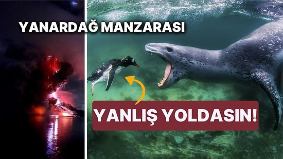 Doğanın Korkutucu Yüzünü İliklerinize Kadar Hissetmenize Sebep Olacak Birbirinden Ürkütücü 15 Yeni Fotoğraf