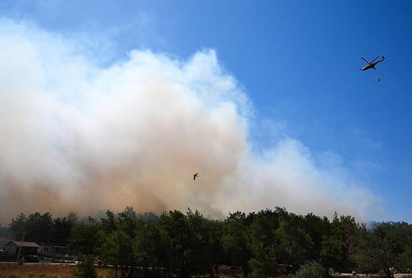 İzmir'in Menderes, Selçuk ve Çeşme ilçelerinde dün başlayan orman yangınları yine ciğerlerimizi yaktı.