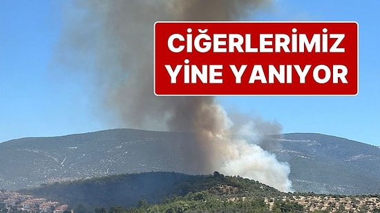 Bir Yangın da Muğla’da Başladı: Orman Yangınına Müdahale Ediliyor