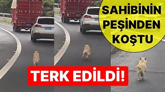 Kendisini Terk Eden Sahiplerinin Peşinden Koşan Küçük Köpeğin Çabası Yürekleri Sızlattı