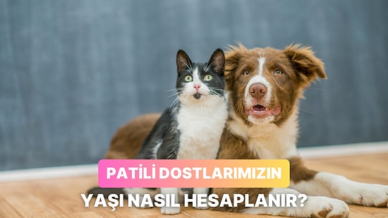 Patili Dostunuz Sizden Yaşlı Olabilir: Köpek ve Kedilerde Yaş Nasıl Hesaplanıyor?