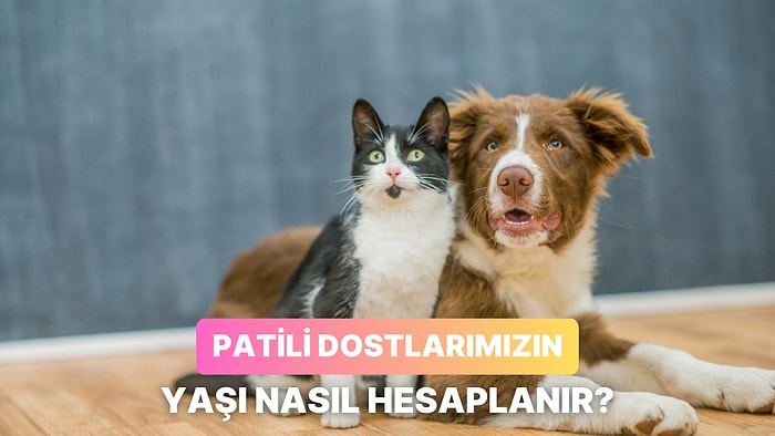 Patili Dostunuz Sizden Yaşlı Olabilir: Köpek ve Kedilerde Yaş Nasıl Hesaplanıyor?