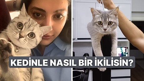 Kedinle Sen Nasıl Bir İkilisiniz?