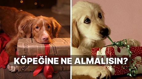 Köpeğine Alman Gereken Hediye Ne?