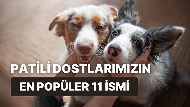 Kesin Sizin de Çevrenizde Varlar: En Popüler 11 Köpek İsmi