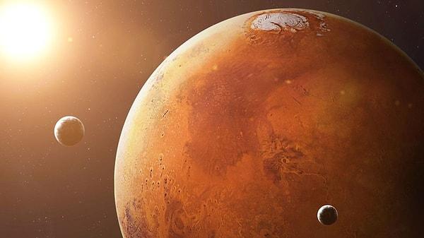 Bilim insanları Mars'ta hayatta kalabilecek 'çöl yosunu' buldular!