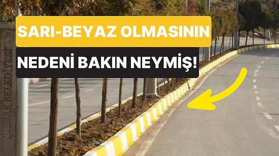 Milyonlarca İnsan, Akıllarda Tek Bir Soru: Kaldırımlar Neden Sarı Beyaz Renkte?