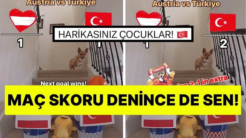 Maç Öncesi Skoru Tahmin Eden Korgi Köpek Sen Haklı Çıktın!