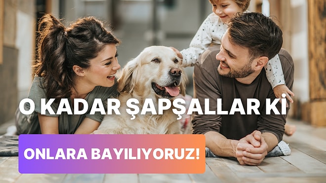 Sadece Dünyanın En Şapşal Köpeğiyle Birlikte Yaşayanların Anlayabileceği 12 Şey