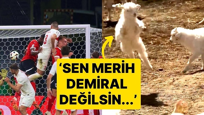 Tarım Bakanlığı'ndan Merih Demiral Paylaşımı! 'Öyle Kafa Atamazsın Diyoruz, Dinlemiyor'