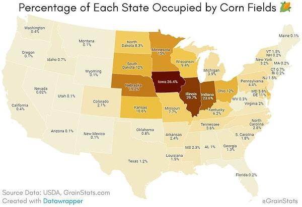 10. ABD'de eyaletlere göre mısır tarlaları oranı.