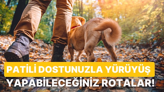 Köpeğinizle Keyifle Yürüyüş Yapabileceğiniz Türkiye'nin Dört Bir Yanındaki 13 Park ve Yürüyüş Rotası