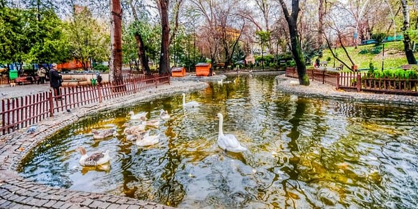 4. Kuğulu Park - Ankara