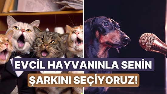 Bu Şarkı Size Gelsin: 10 Soruda Sen ve Evcil Hayvanına Bir Şarkı Armağan Ediyoruz!