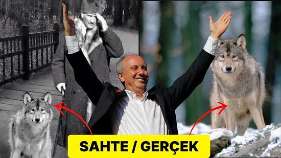 Muharrem İnce'nin Paylaştığı Atatürk ve Bozkurt Fotoğrafının Fotoşoplu Olduğu Ortaya Çıktı