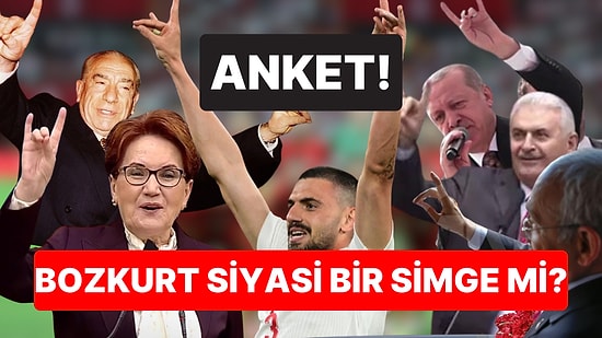 Anket: Bozkurt İşareti Siyasi Simge mi?