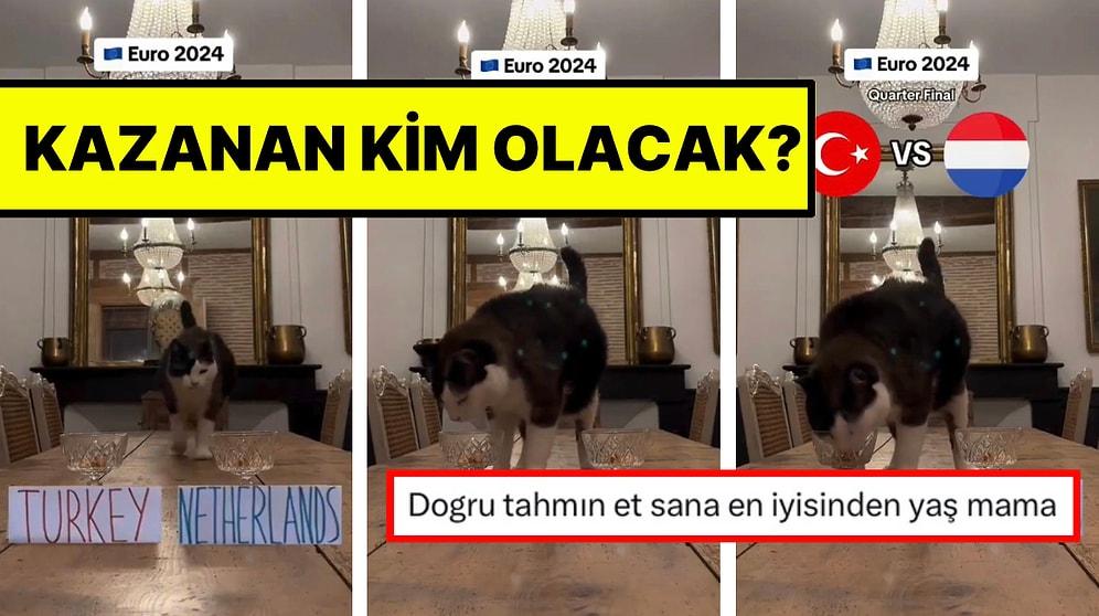 Köpek de Bizden Yanaydı: Fenomen Kedi de Türkiye Hollanda Maçı İçin Tahmin Yaptı