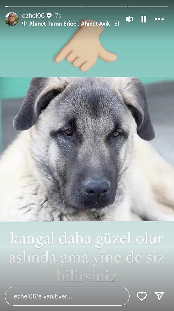 Konuya tam ortasından dahil olan Ezhel, hikayesinde paylaştığı Sivas kangalıyla Bozkurt işareti yerine kangal önermesinde bulundu!