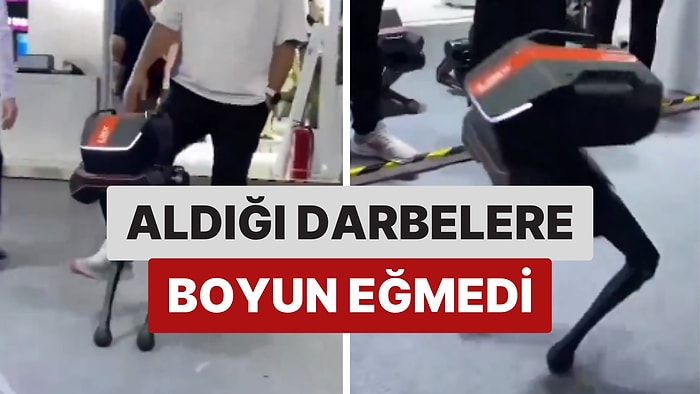 Kendisine Gelen Tüm Darbelere Rağmen Ayakta Kalabilen Robot Gündem Oldu!