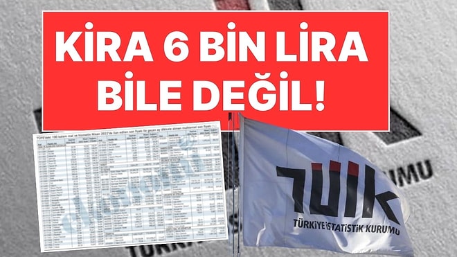 TÜİK'in Sır Gibi Sakladığı Fiyatlar Ortaya Çıktı: Kira 5 bin 845 Lira, Doktor Muaynesi 34 Lira!