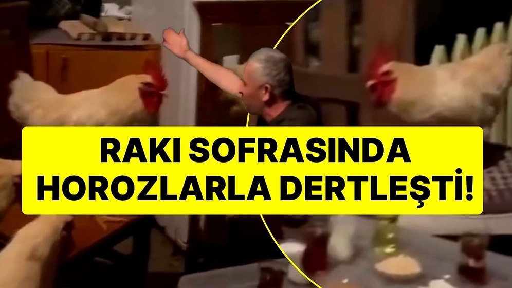 Tavuk Diye Aldığı Civcivleri Horoz Çıktı, Rakı Masasında Dertleşti! 'Son Geceniz, Sabaha Kadar Yiyip İçeceğiz'