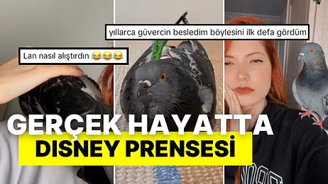 Kedi Değil, Köpek Değil! Güvercini Evcilleştiren Kadın Herkesi Şoke Etti: “Böylesini İlk Defa Görüyorum”