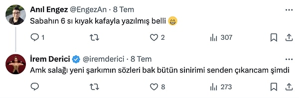 Bir kullanıcının kendisine "Sabahın 6 sı kıyak kafayla yazılmış belli" demesine öfkelenen ünlü popçu yine küfürlerle açtı ağzını yumdu gözünü.