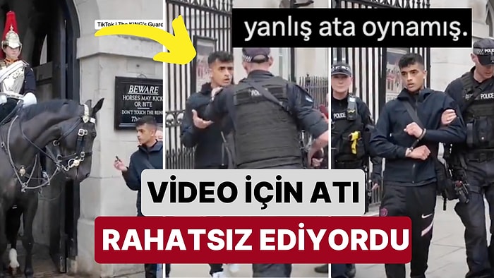 Video İçeriği İçin İngiliz Kraliyet Atını Rahatsız Eden Genç Dakikalar İçinde Yaka Paça Gözaltına Alındı