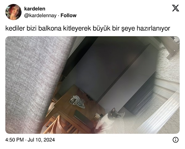 Kendisi yalnız değildi.