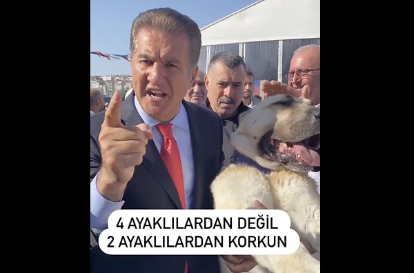 Ülkedeki hemen hemen her mesele ile ilgili mutlaka yorum yapan Mustafa Sarıgül, sokak köpekleri meselesine de değindi.