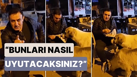 "Her şey Sizin Bildiğiniz Gibi Olmak Zorunda Değil": Mahmut Tuncer de Sokak Köpekleri Kararına Tepki Gösterdi