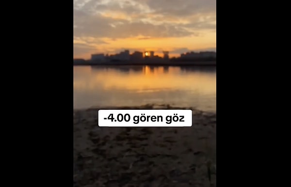 Bir mercek yardımıyla olması gereken görüntüyle karşılaştırdığı videolar, göz bozukluklarının hayatı nasıl etkilediğini net bir şekilde ortaya koyuyor.