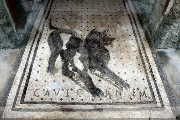 10. Pompeii'de 2000 yıl öncesine ait olan "Dikkat: Köpek Var" tabelası.