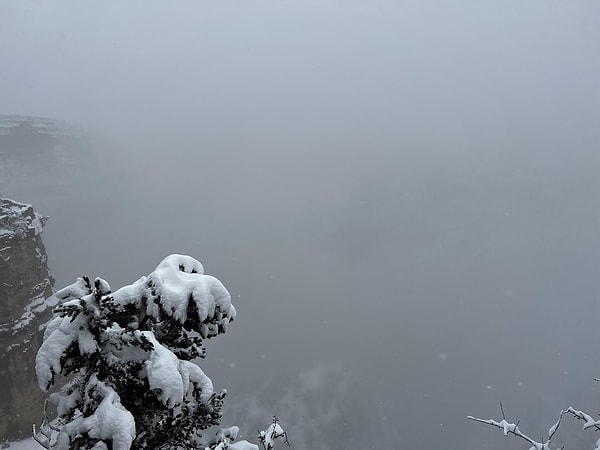 "Grand Canyon'u görmek için o kadar yol gelmiştik."