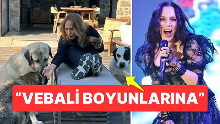 Sertab Erener, Sokak Hayvanlarına Ötanazi Teklifine Tepki Verdi 'Vebali Boyunlarına Olacak, Yasa Çalışmayacak'