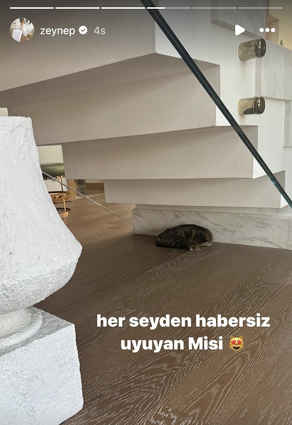 Ardından da patili dotu Misi'nin villasında uyuduğu anları paylaştı...