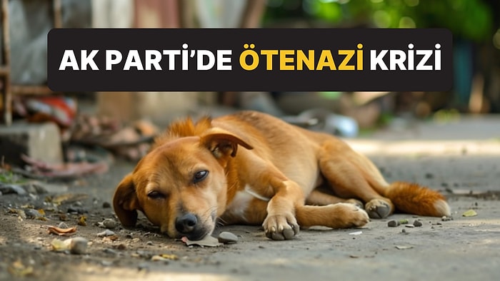 Sokak Hayvanları Yasası AK Parti’de Kriz Çıkardı: Bazı Milletvekilleri Tasarıyı Protesto Edecek İddiası