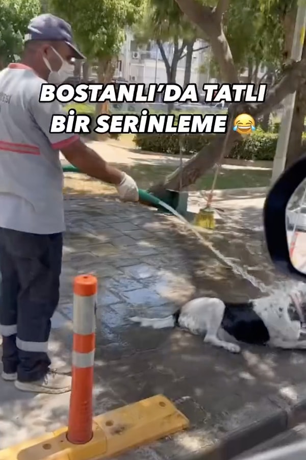 Arabayla yanlarından geçen vatandaş belediye çalışanıyla sokak köpeğini öyle görünce kayıtsız kalmak istemedi ve kaydı başlattı.