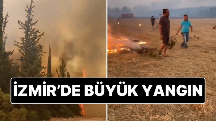İzmir'deki Yangın Büyüyor: Hava Trafiği Aksadı, Hayvanlar Tahliye Edildi