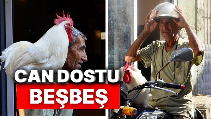 Mersin’de Kalpleri Eriten Anlar! Gittiği Her Yere Horozu Beşbeş’i de Götüren Sahibi