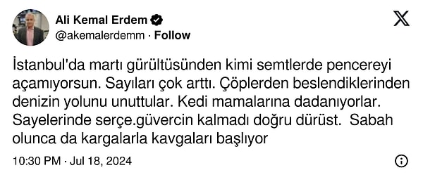 Gazeteci Ali Kemal Erdem de bu isimlerden bir tanesi. Martıların sayılarının arttığından dem vuran Erdem, durumu şu şekilde açıklıuyor👇